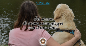 Sei sicuro di saper comunicare con il tuo cane? Scoprilo subito