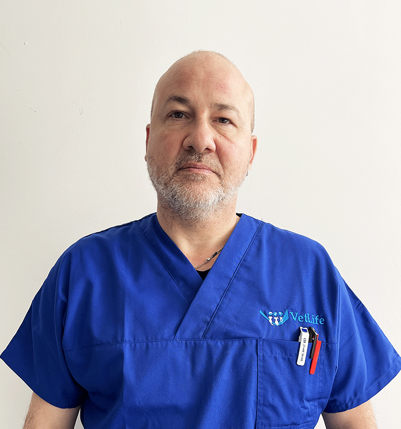 Alessandro Valentini - Clinica VetLife Cosenza