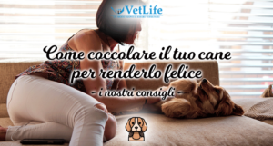 Clinica VetLife Cosenza, i consigli su come coccolare il cane per renderlo felice